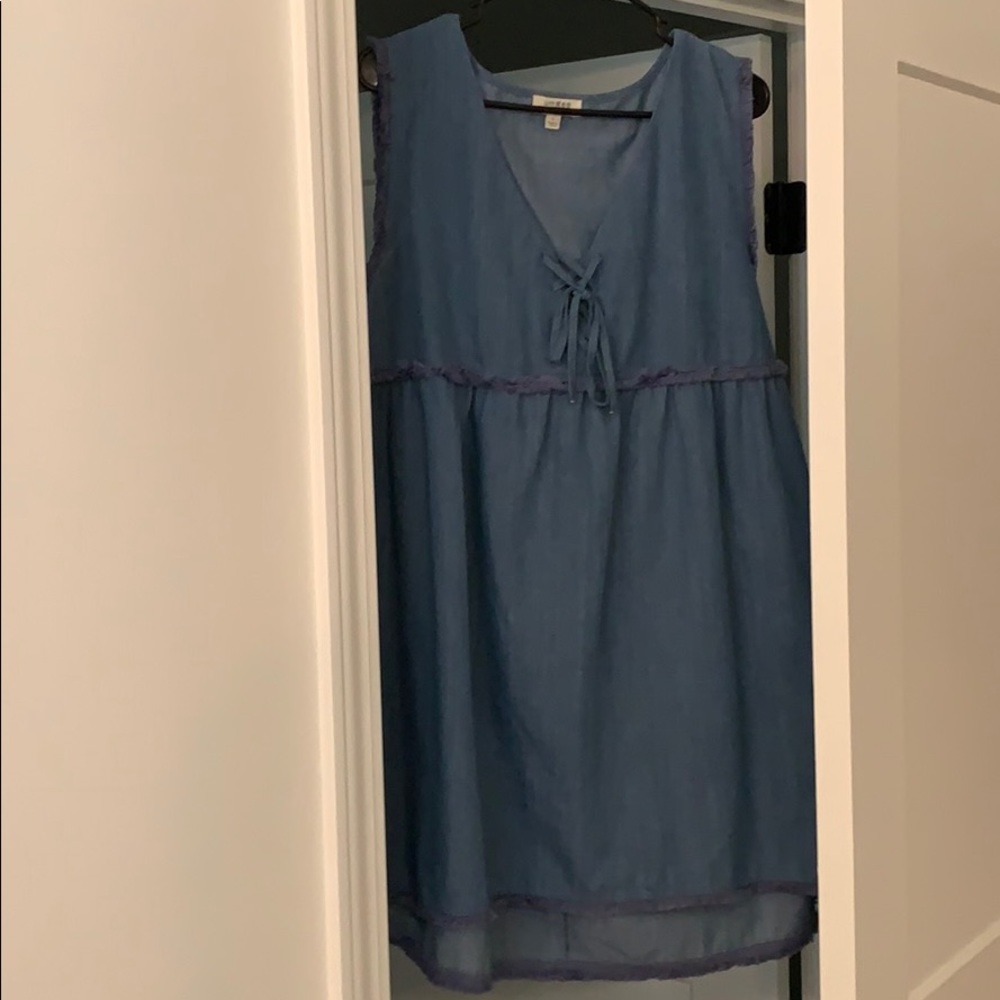 Umgee Denim Dress